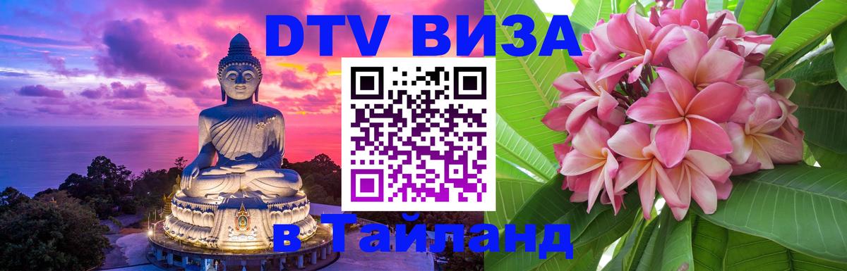 Сколько стоит DTV виза — актуальные цены, оформление даже без документов - Нижний Новгород  19.11.2025 